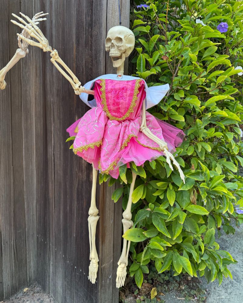 A skeleton dressed in a fluffy pink dress hangs from a fence.
