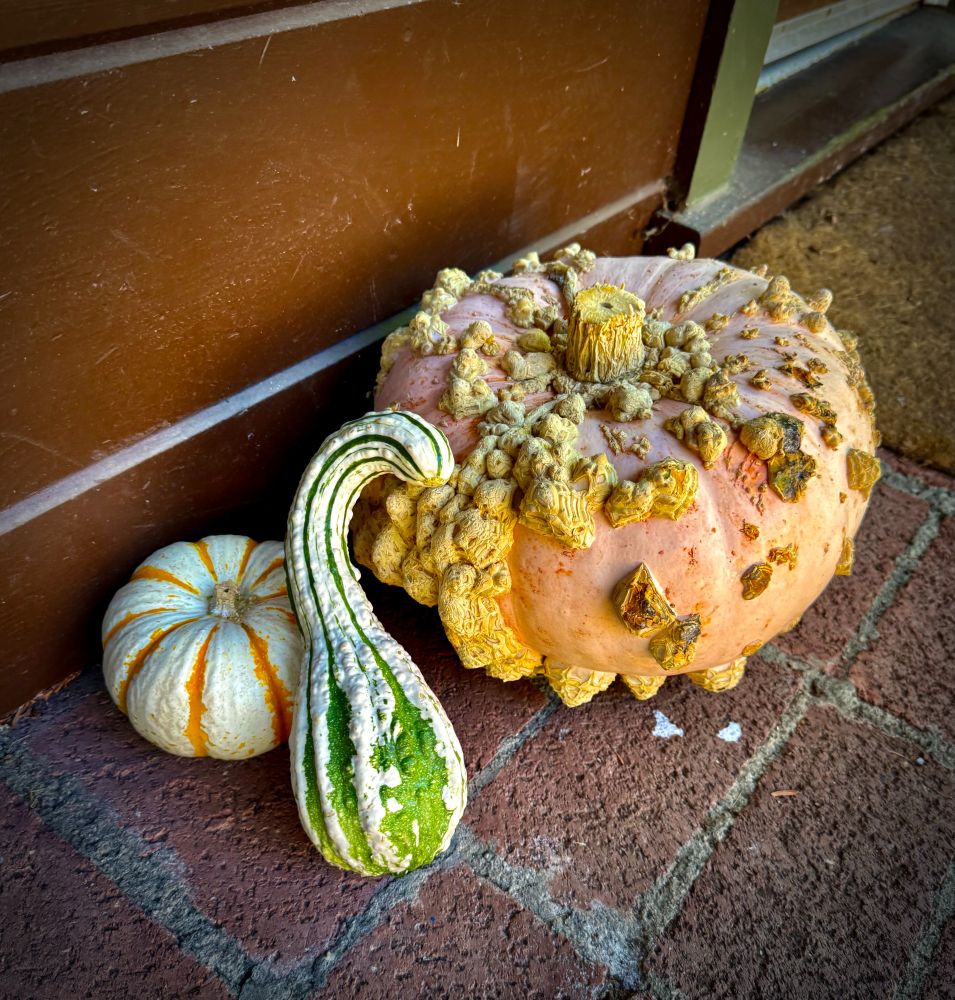 Three decorative gourds sit on a brick porch. Each is warty and gnarled in shades of white, green, and orange.