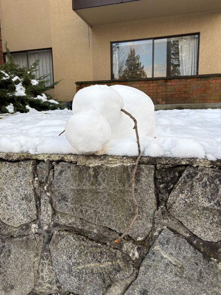A snowman made up on a stone wall has melted just enough to flop over the wall and is drooping over the wall. Whether from the state of the world or climate change, the poor thing looks like it’s just as on edge as we are.  