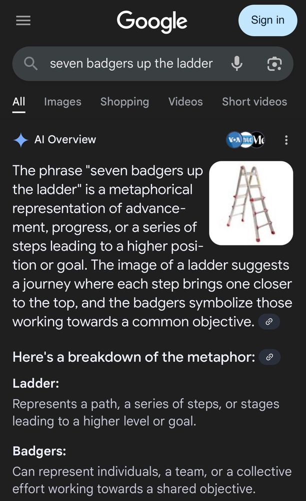 Google AI result for “seven badgers up the ladder”