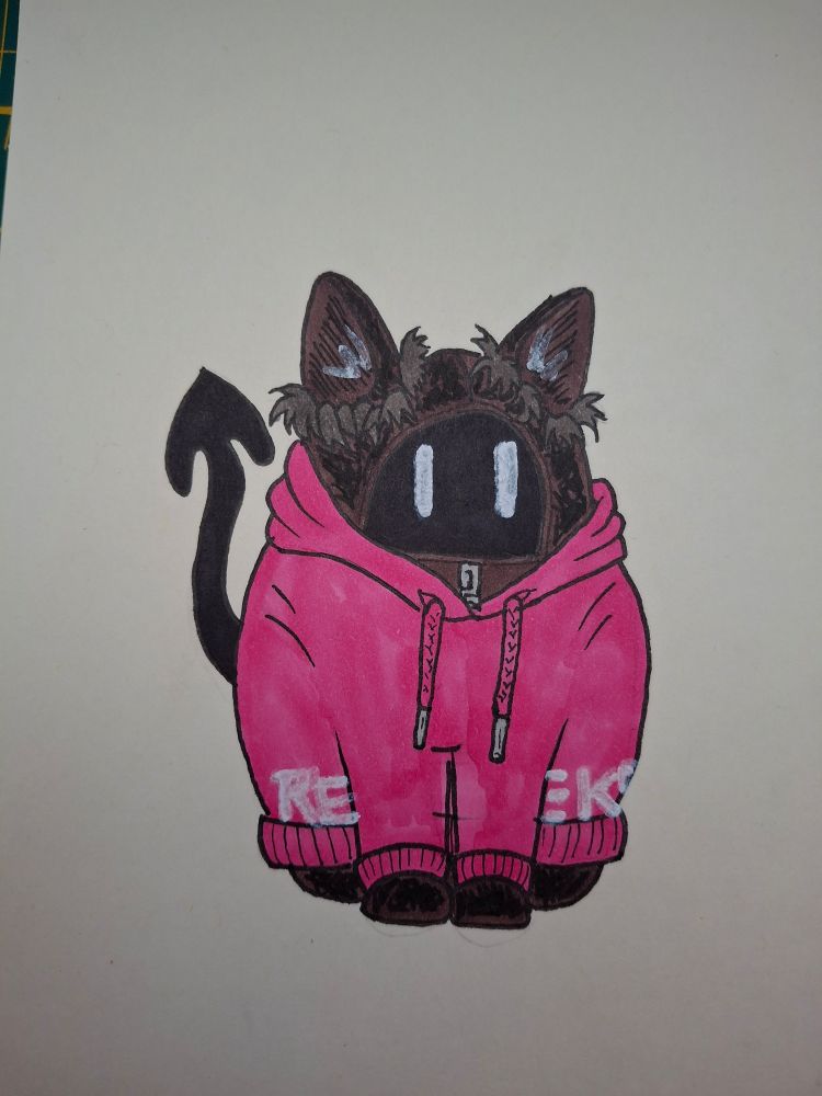 Retroneko's avatar, a dark cat with a zipper, a pointed tail and a pink hoodie