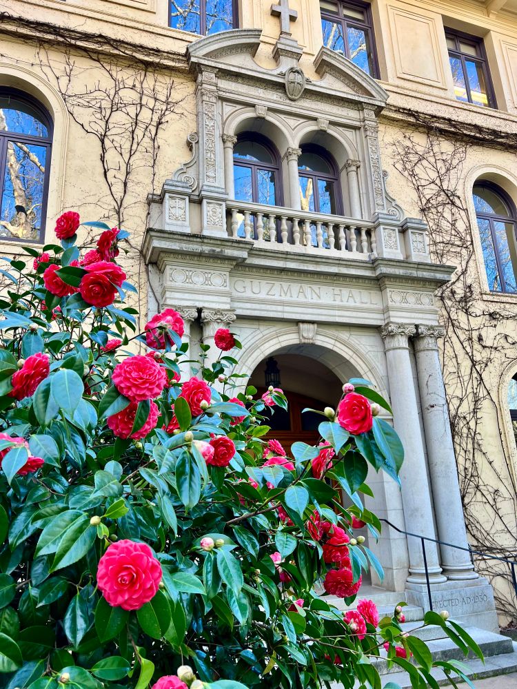 Flowers in front of Guzman Hall at Dominican University