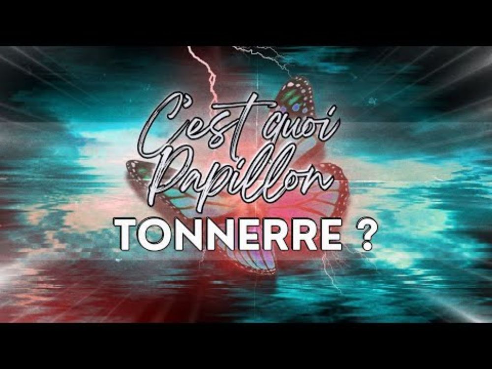 Papillon Tonnerre, un jeu de rôle pas comme les autres !