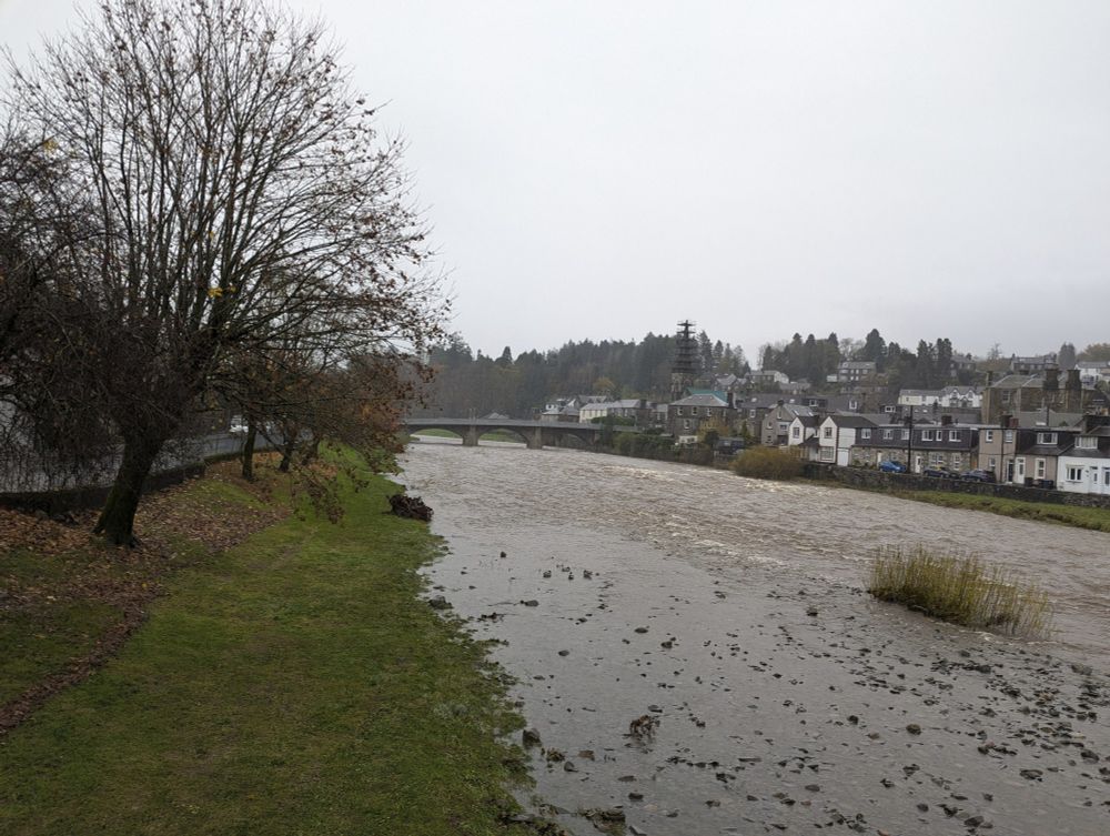 View of the river Esk from the suspension footbridge. It's swollen and the leafline shows where the water was last night. Estimate the river is about 2ft higher than average. 