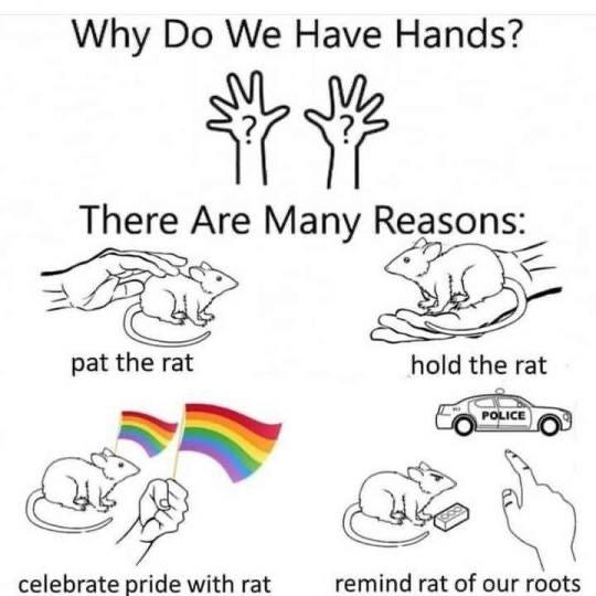 Why Do We Have Hands?
There Are Many Reasons:
pat the rat (with an illustration of hand patting a rat)
hold the rat (a hand holding a rat)
celebrate pride with rat (a hand and the rat holding rainbow flags)
remind rat of our roots (a hand pointing at a police car and the rat looking angry with a brick next to it)