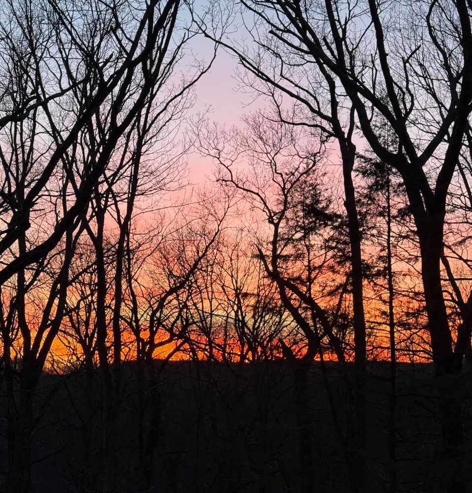 photo of sunset with orange and pink clouds, and trees silhouetted in foreground