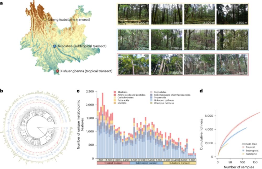 Tree phytochemical diversity and herbivory are higher in the tropics - Nature Ecology & Evolution