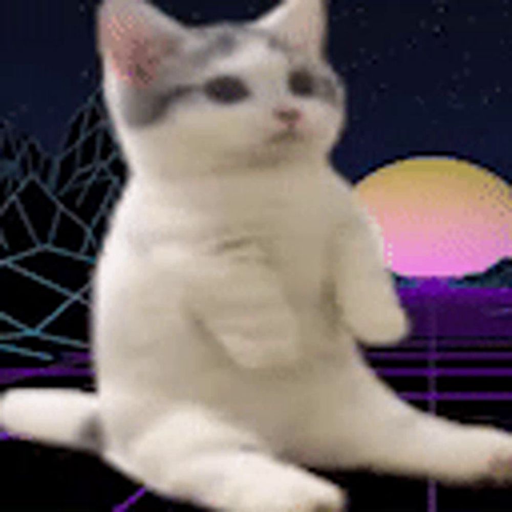 a white cat is sitting on its hind legs in front of a purple and pink background .