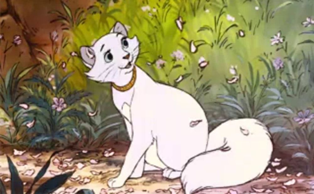 a white cat with a collar is sitting in the grass