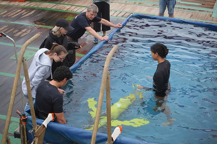 EPOC science team testing the gliders in the tank on the deck of RV Meteor