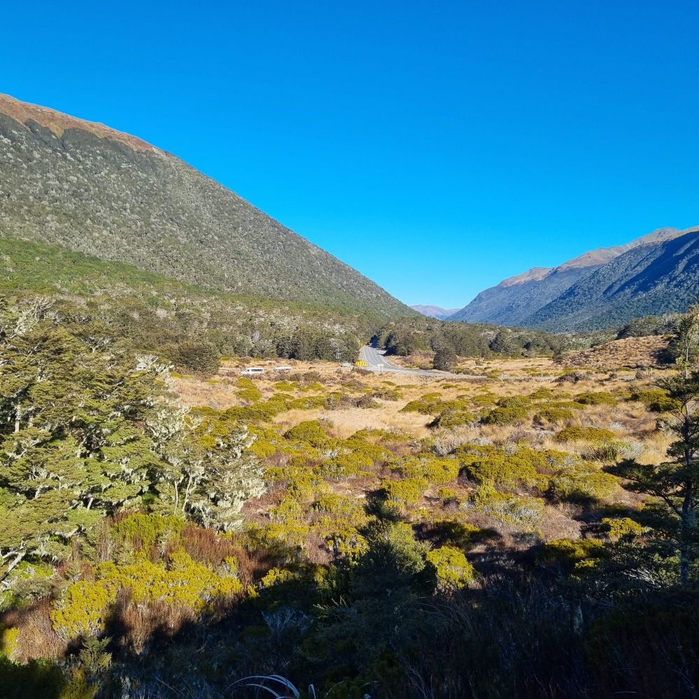 View of the Lewis Pass valley looking south. Mountains on either side