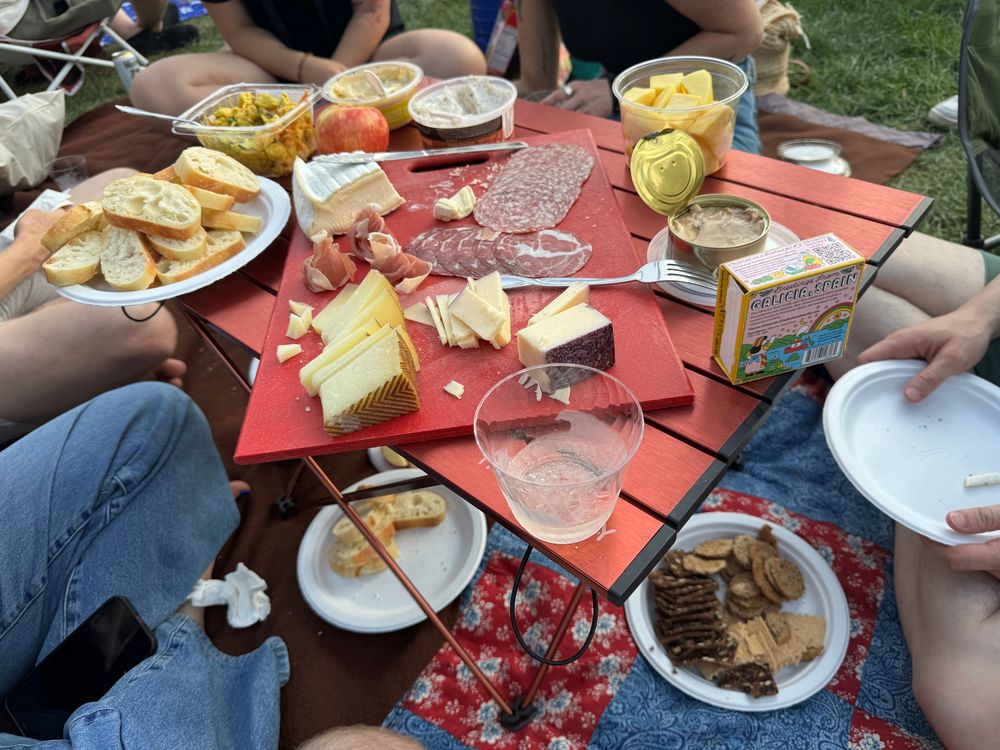 A feast of a picnic with cut up cheeses, crackers, bread, hummus, meats, and canned tuna.