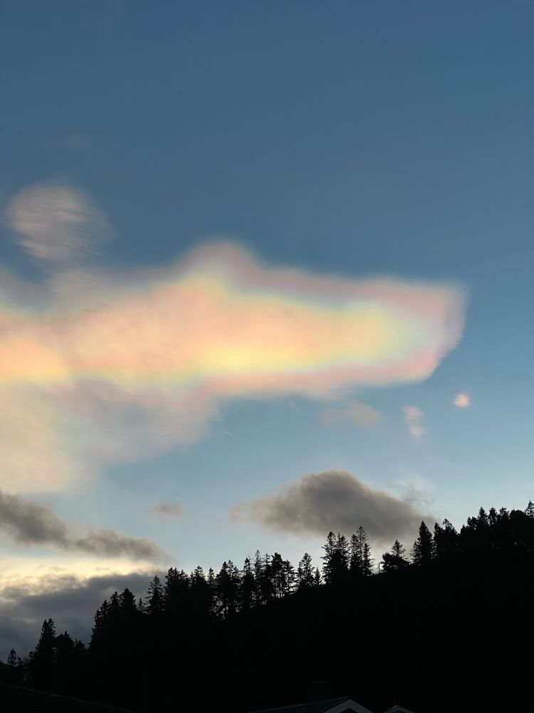 Un gros nuage nacré (ses couleurs sont: rose bleu violet jaune à l’intérieur) au dessus de sapins