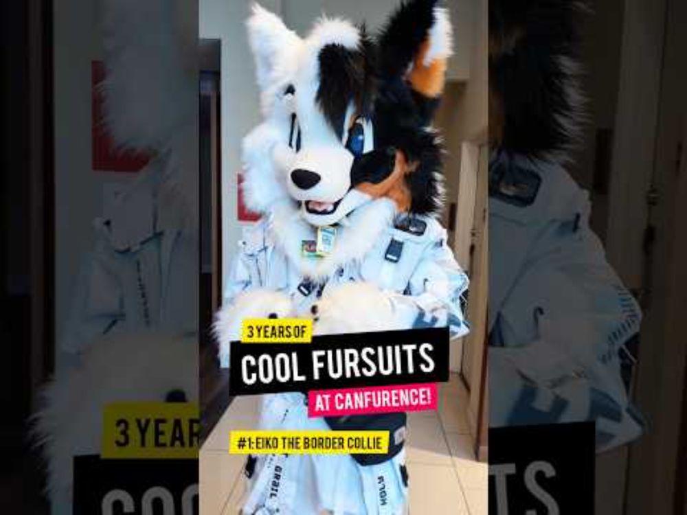 canfurence fursuiters compilation :3 #furries #fursuits #furryfandom #canfur #costumes
