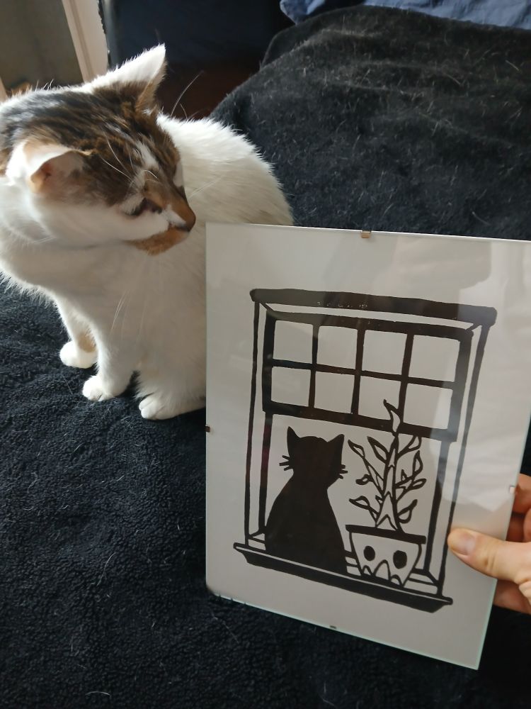 Ma main tenant une illustration faite par Antipatriarcam représentant un chat à la fenêtre et un chat qui regarde l’illustration (ils sont beaux les chats hein?)