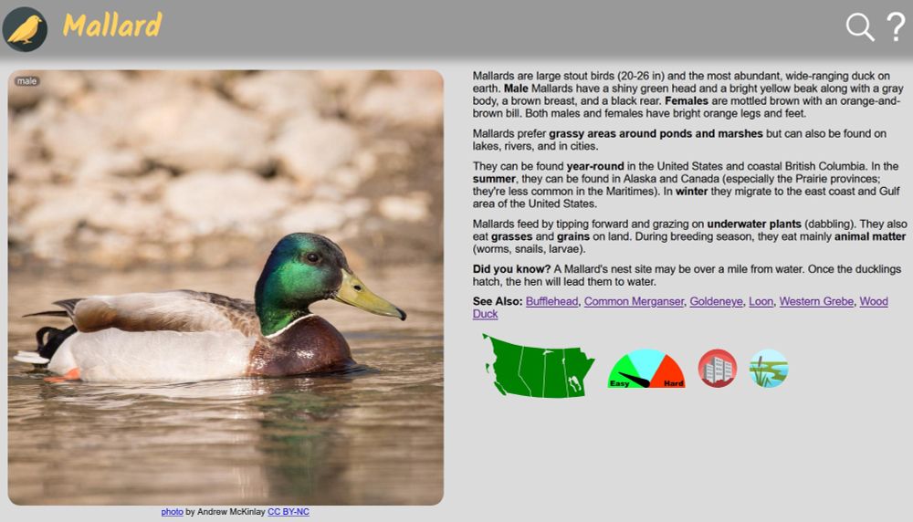 photo and description of mallards from Nature Companion website and app