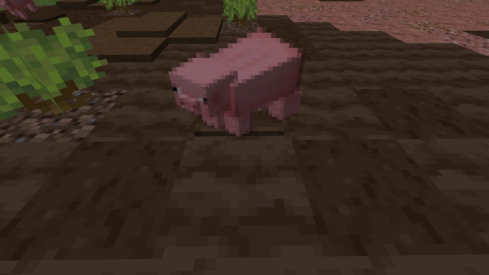 Image of a very realistic and lifelike pig in a muddy field

(I was making a lil thingy and this happened)