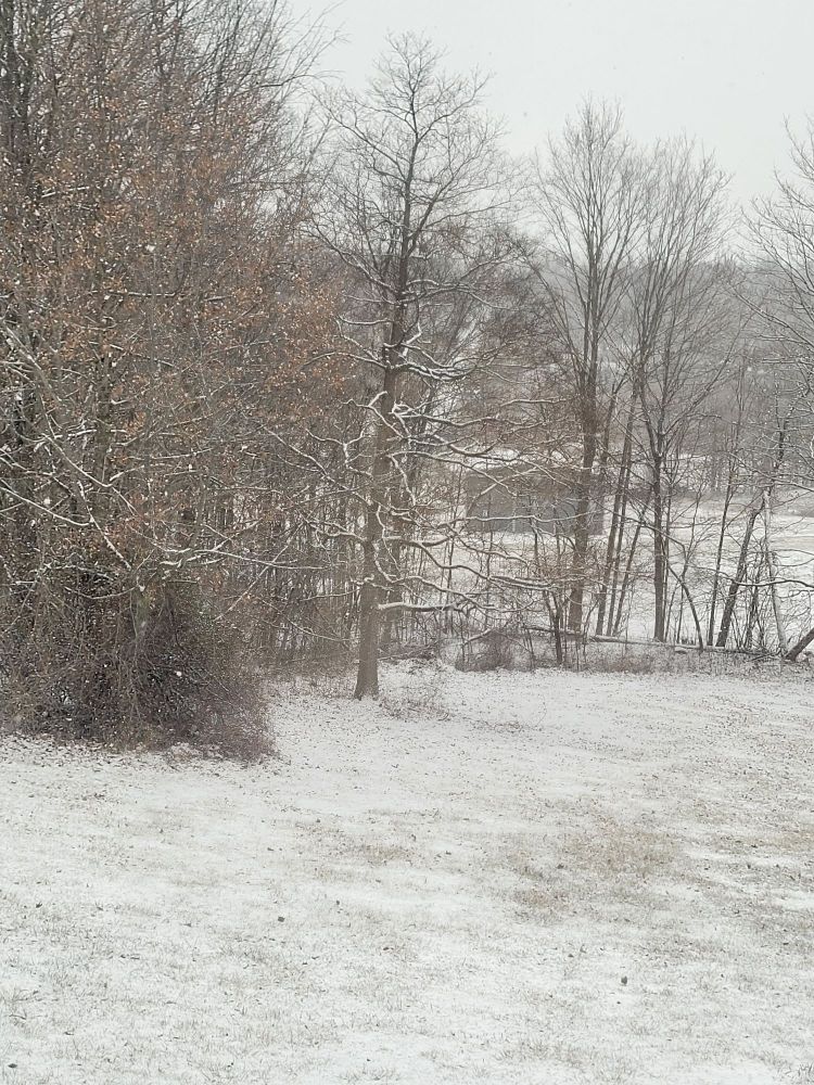 Light dusting at 12:15 and you can still see the road in the distance. 
