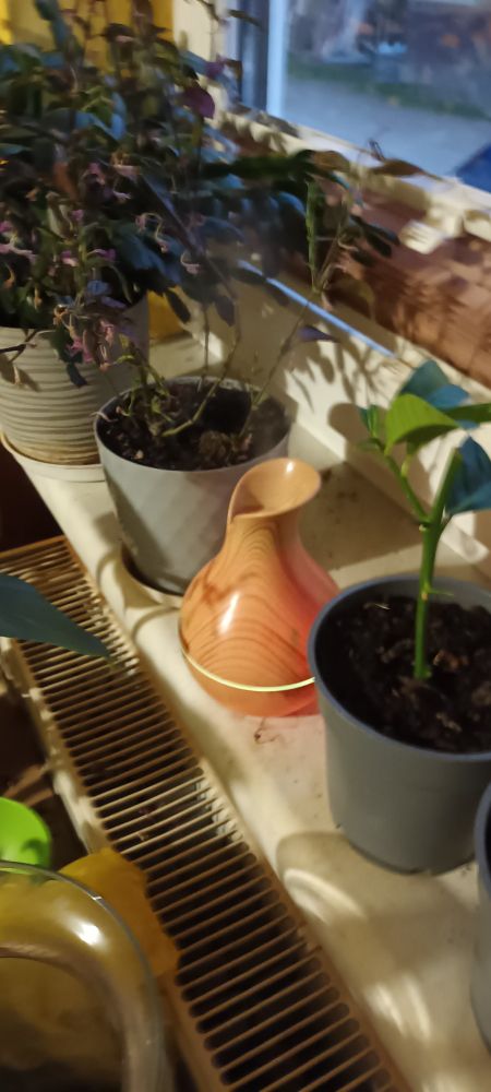 A vase shaped air humidifier