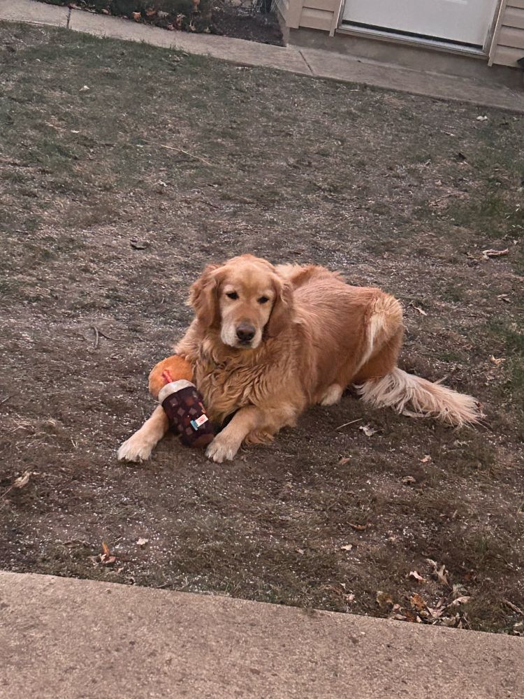 It was very windy and starting hailing during this and he did not want to come back in