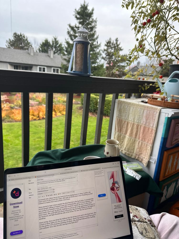 seri’s laptop open writing a story and the view from her patio with green grass and grey skies 