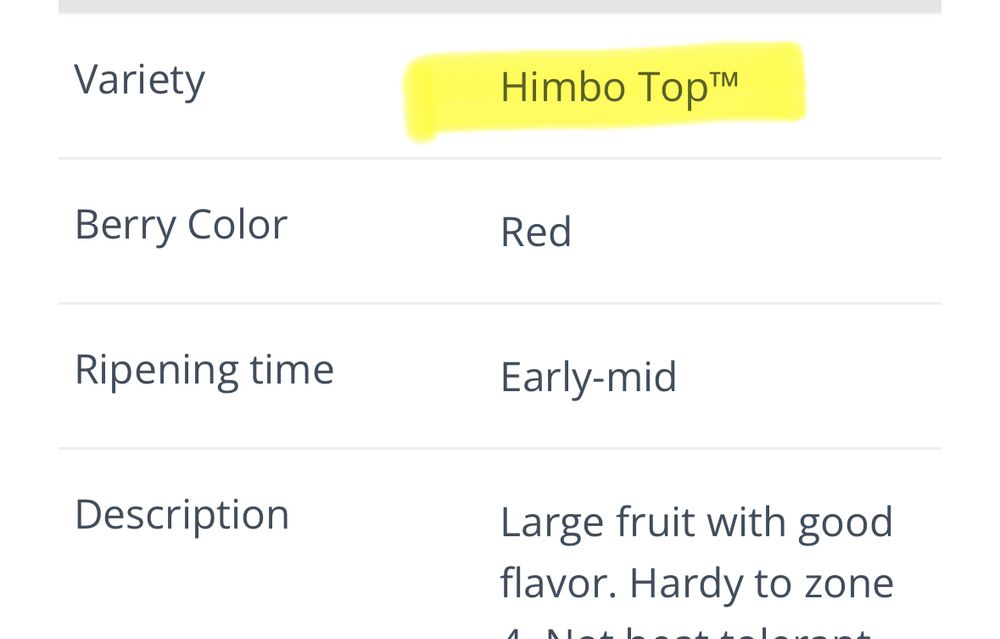 Variety
Himbo Top™
Berry Color
Red
Ripening time
Early-mid
Description
Large fruit with good
flavor. Hardy to zone