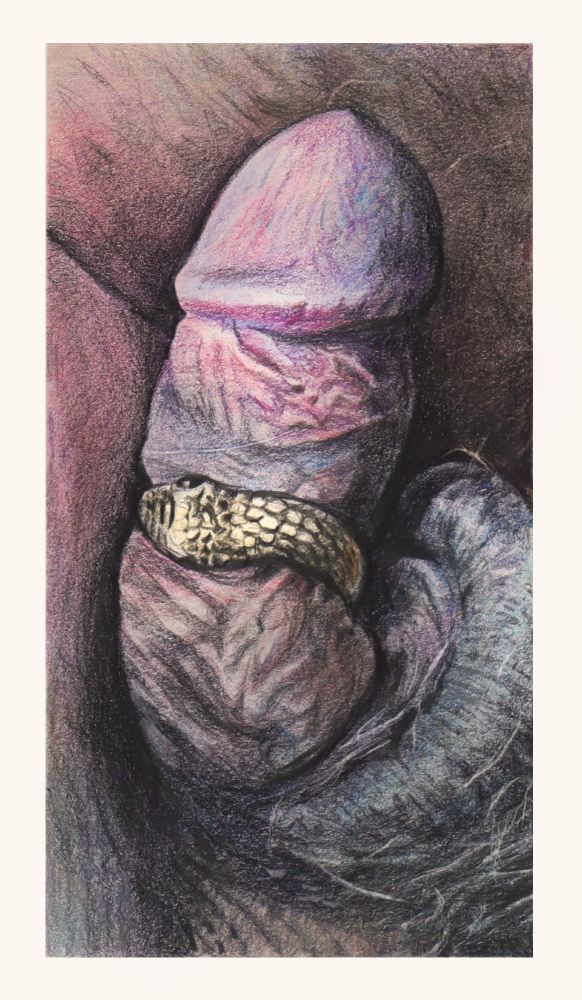 Close up of a male member, nested in shadow and encircled by a gold-plated steel serpent ring