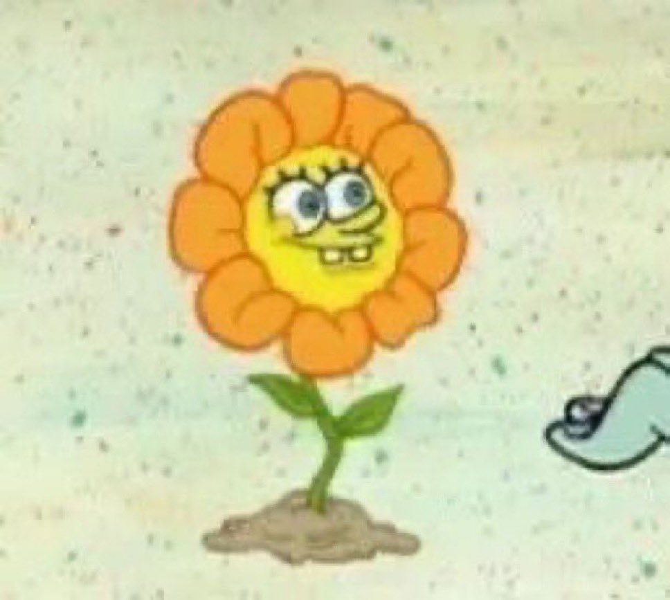 A meme depicting SpongeBob as a flower 