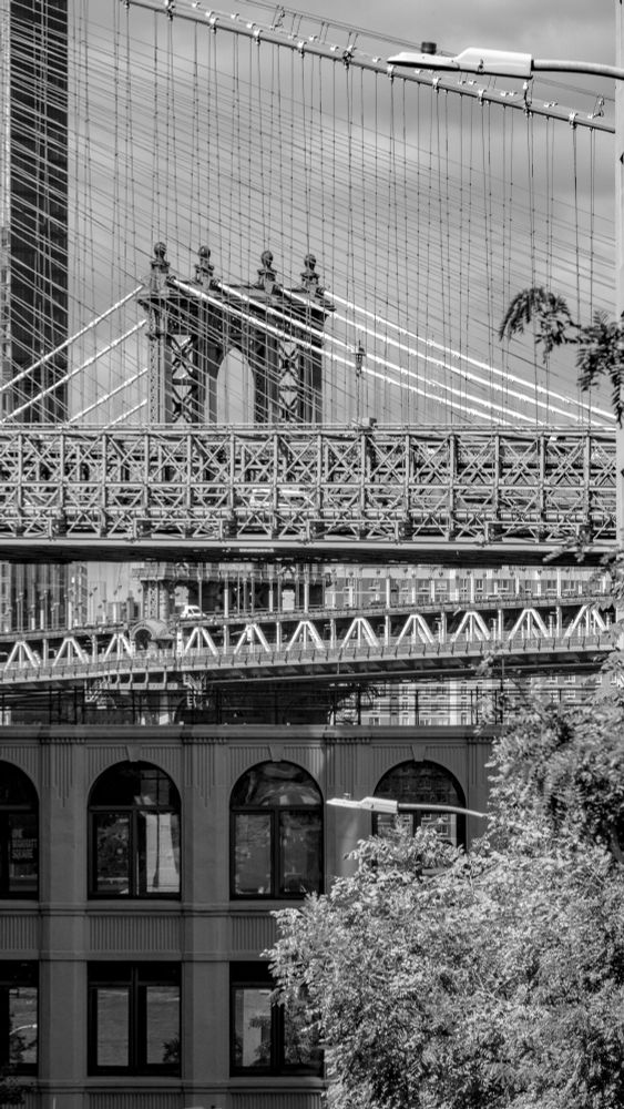 View of the Manhattan and Williamsburg Bridges from Brooklyn Heights. The photo is in portrait mode and in black-and-white.