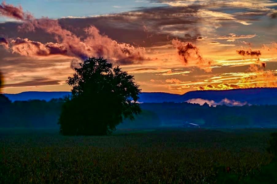 View of a field with corn growing. There is a tree in the middle right side. In the back is a tree line and behind the The Shawangunk Mountains. The colorful sky is filled with various colored clouds. 