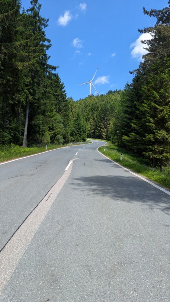 Die Soboth-Straße im oberen Teil. Eine graue Straße zieht sich durch dichten Wald. Am Horizont steht ein Windrand.