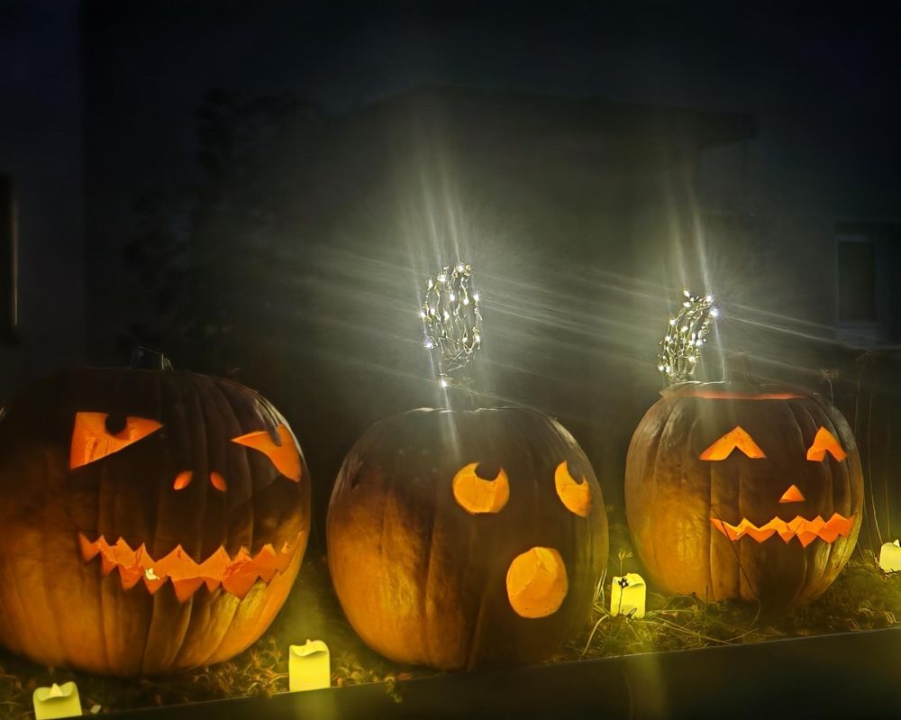Drei leuchtende Kürbisse für Halloween.