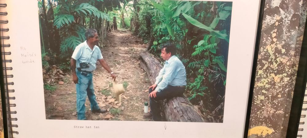 A picture of a page out of Panamarenko's book about traveling through the Amazon to see a specific bird.
On the page you see Panamarenko sitting on a fallen tree while his guide stands in front of him holding a hat.
Under the picture is typed with a typewriter 'Straw Hat Fan'.
