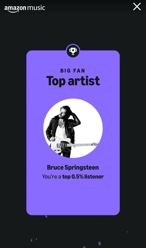 This shows that I am within the top 0.5% listeners of Bruce Springsteen and the E Street Band. Surprisingly I am still married and I do have friends and hobbies. I just like Springsteen a lot.
