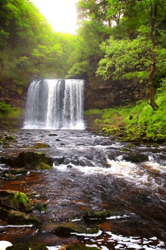 a waterfall is surrounded by trees and rocks in the middle of a river