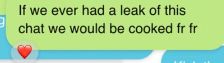 If we ever had a leak of this chat we would be cooked fr fr