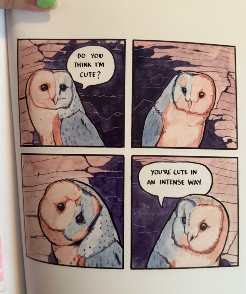 four panel false knees comic by joshua barkman

1. barn owl A: “do you think i’m cute?”
2. barn owl B: [staring at barn owl A]
3. barn owl A turns her head completely upside down in a fashion i assume she means to be charming and endearing
4. barn owl B: “you’re cute in an intense way”