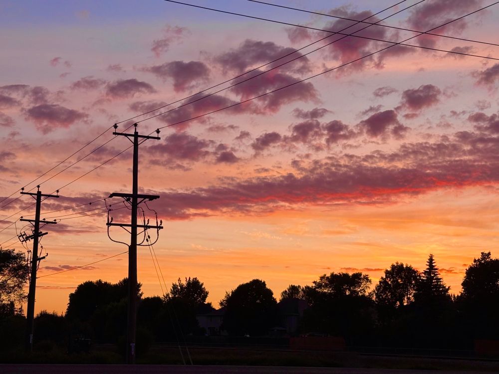 pink and orange sunset over the trees and power lines silhouetted black against it