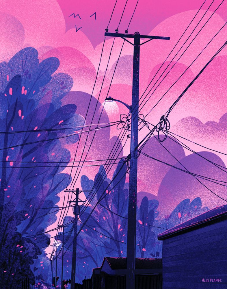 power lines going down a back lane, silhouetted against a pink and purple twilight sky. the trees and houses along the lane are all cast in blue shadow. the colours are laid out in a way that suggests the bi flag. very bisexual lighting. a street lamp glows, and some birds flying in the distance. 