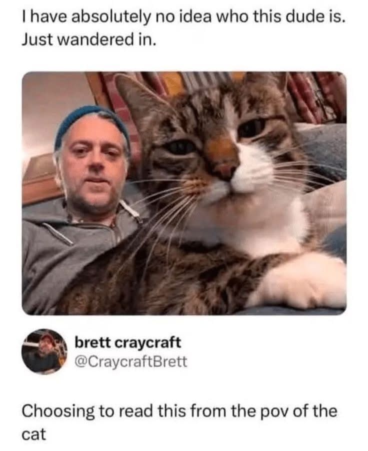 A close up of a cat, with a man in the background. The tweet says, "I have absolutely no idea who this dude is. Just wandered in."

Someone replies, "Choosing to read this from the POV of the cat"