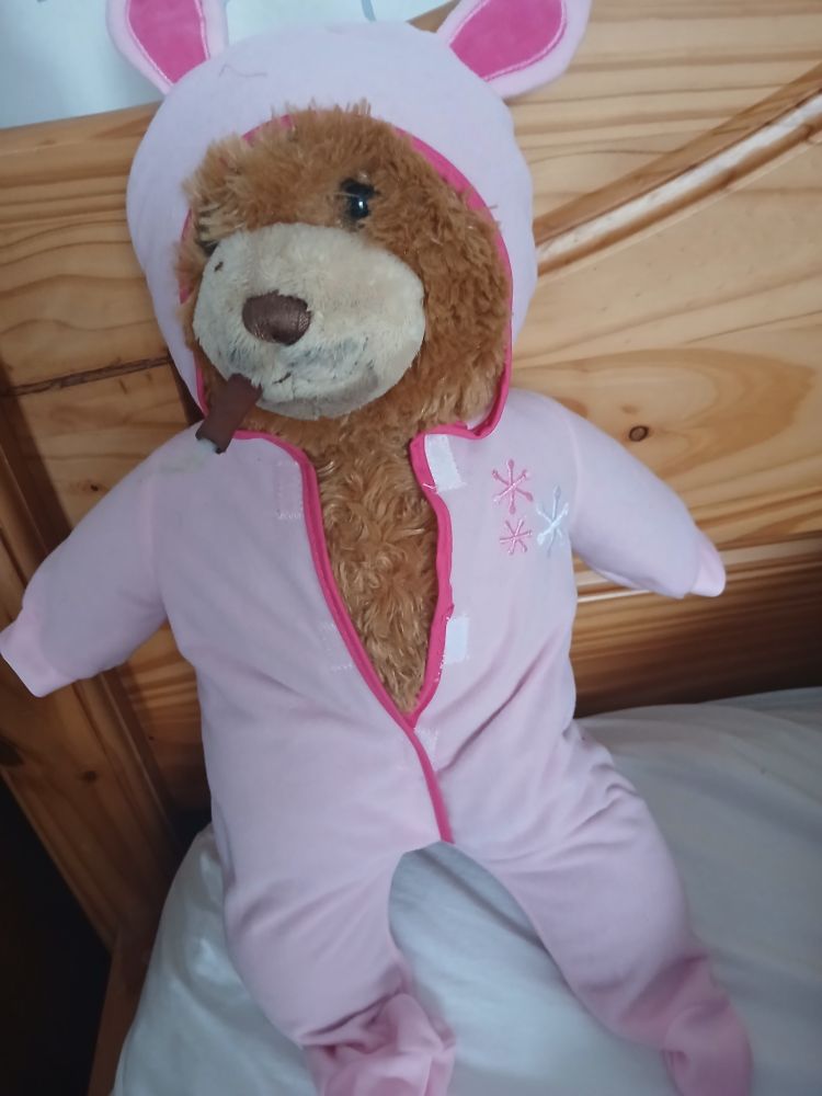Build a bear in a pink rabbit 🐇 onesie.
Or is it a wolf?
