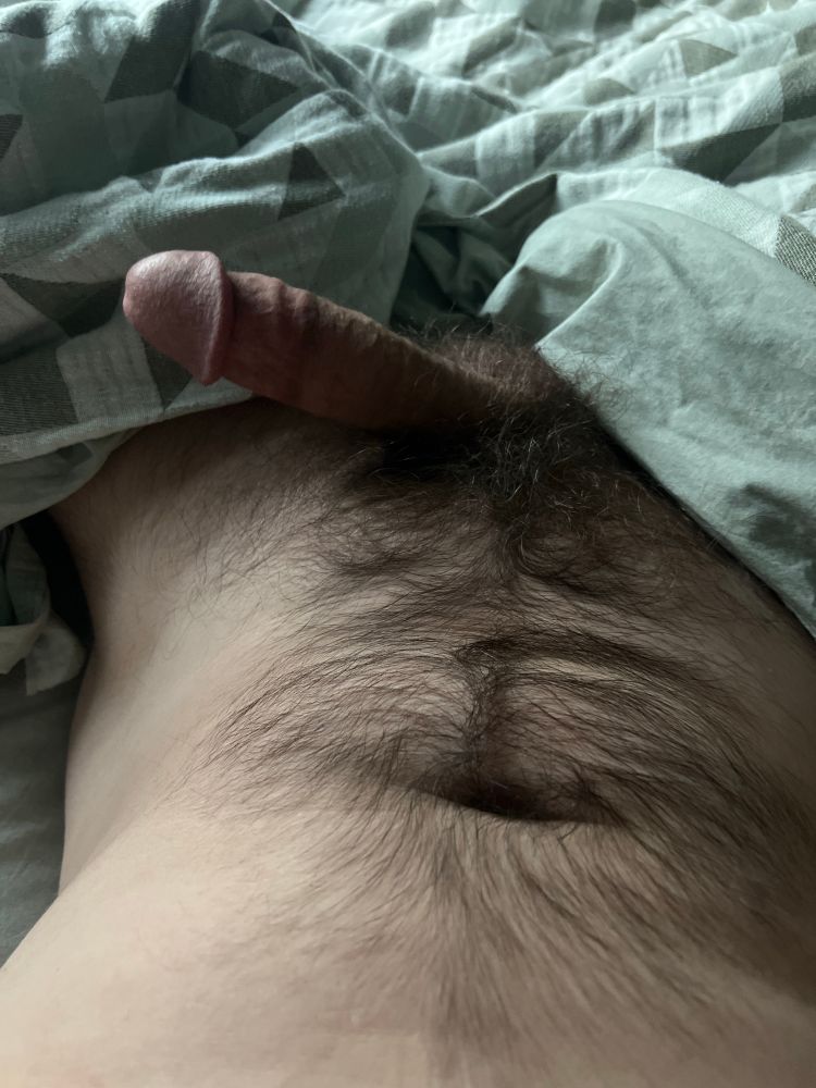 Furry stomach and bush and hard cock