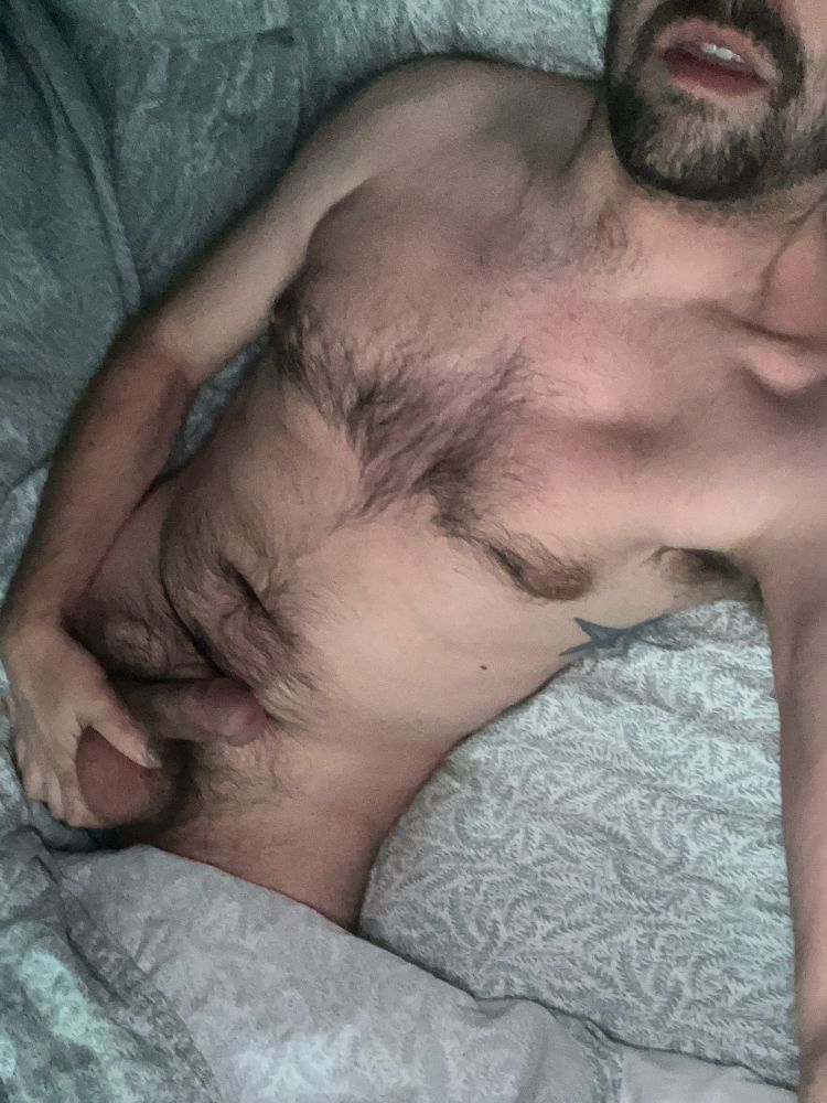 Hairy torso and bearded chin with hand holding hard cock and balls