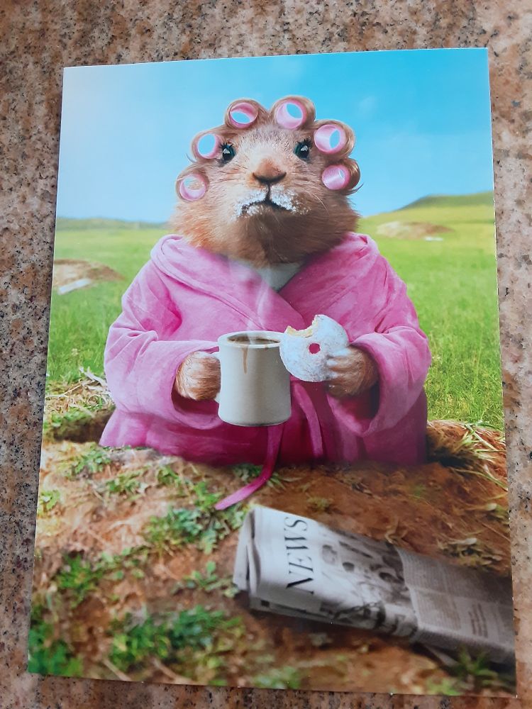 Squirrel with hair curlers and milk mustache wearing a pink bathrobe and holding a steaming mug and powdered donut staring at the viewer. A newspaper sits before her/him/it.