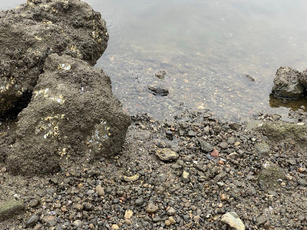 大森ふるさとの浜辺公園