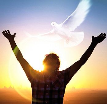 Have a lovely day 💙🐣💙