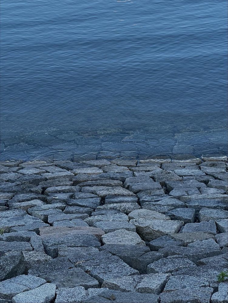 Rocks and water; shoreline.