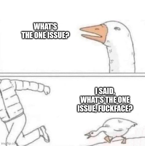 Goose chasing man meme, where the goose says 