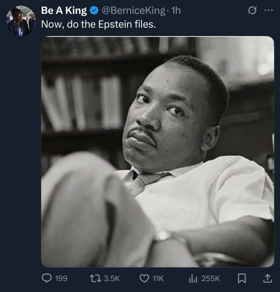 A photo of MLK Jr. giving a bit of side-eye from his daughter, Bernice King. Her caption: "Now, do the Epstein files."