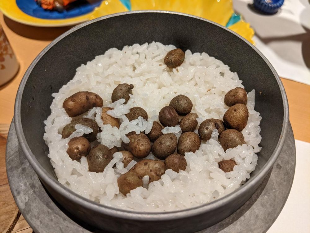 Pot of cooked rice with many mukgo in it
